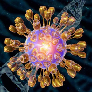 Nhiễm virus (chiếm 4,5 - 7%)